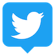 Share to Twitter